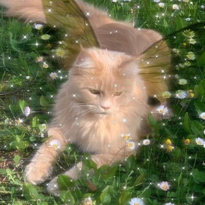 Fatbutnotforev1's profile picture. Życie piękne jest wieczorem