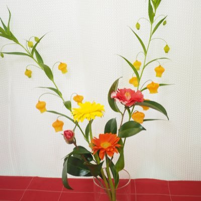 ayakaさんのプロフィール画像