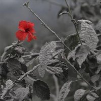 Huff Baker ❤️ Memecoin (@bakerhuff) 's Twitter Profile
