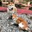 Miekoおばちゃんのアイコン
