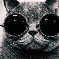 Mccormick Mckenzie ❤️ Memecoin (@mccormickmcken1) 's Twitter Profile