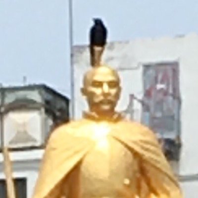 sagiliseien's profile picture. ポケモン（特にパモ族＆ポケスリ）。園芸（ほぼハオルチア）他雑多アカウント。成人済。