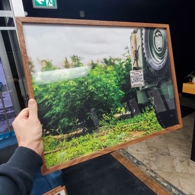 chanvreca's profile picture. Chanvre