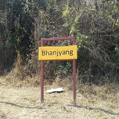 AchyutT00181705's profile picture. just looking way to get knowledge