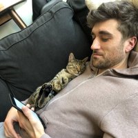 Alex Pieper (@piepstweeets) 's Twitter Profile