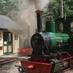 BWLR (@bredgarrailway) Twitter profile photo