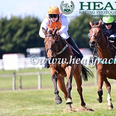 Amateur jockey, love point to pointing and a strong cup of tea