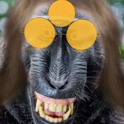 If you haven't grated cheese in the last 30 days, I don't want to talk to you. | Monkey lover | Please don't talk to my auntie. Bio: @fraserirl Banner: @vastgg