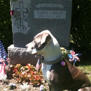 game_bred's profile picture. Art thug