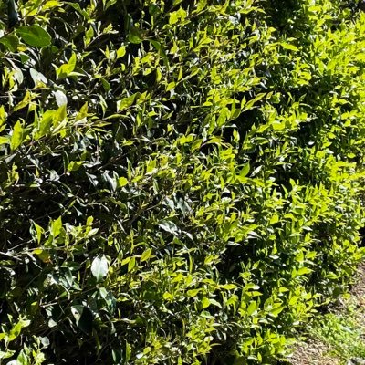 R53325255's profile picture. 😑