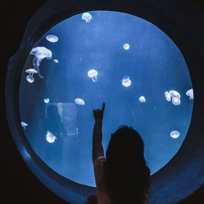 petalsnaz's profile picture. 