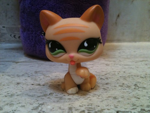 constanzagar's profile picture. Nací una vez como todos, y sigo aquí... ¡no como todos!