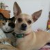 Martha Gonzalez (@marthag74296736) Twitter profile photo Martha Gonzalez (@marthag74296736) Twitter profile photo