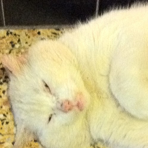 vador9909's profile picture. 