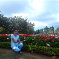 Bowman Millie ❤️ Memecoin (@bowmanmillie3) 's Twitter Profile