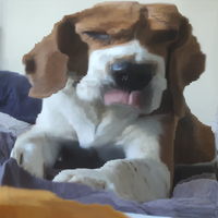 LP.Benji (@lpbenji1) 's Twitter Profile