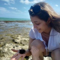 Clarice B. Matos (@claricebmatos1) 's Twitter Profile