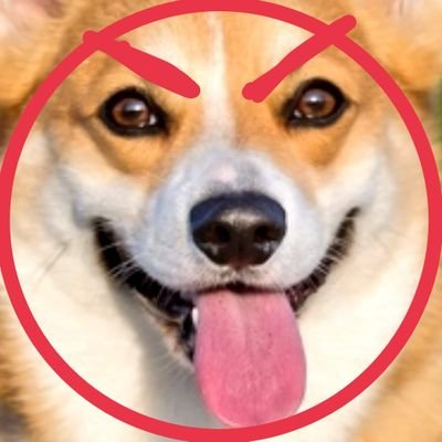 Wolof12's profile picture. KCORP🇨🇵 🟥🟨