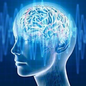 bluhue123's profile picture. Vote Democrat 💙No DM🚫I will ignore. Kindness🌈 Freedom🗽Coffee☕️ Peace 🕊 Music🎵 @taylorswift13