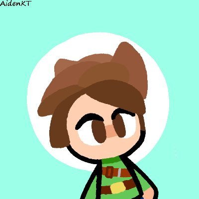 aiden_kt Profile Picture