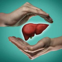 Liver Cancer Lab (@liver_lab_mhh) 's Twitter Profile