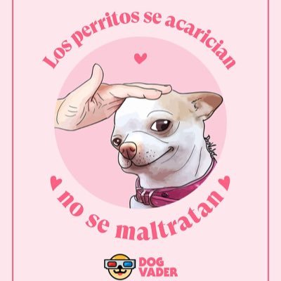 tengo una familia de 15 Perrhijos ,todos rescatados. Esteriliza,adopta,resguarda,ayuda a los necesitados. ♥️🙏🏻