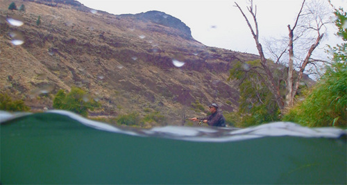 SiteDesigns's profile picture. Jeff Layton, Web Site Designer, Steelhead Fly Designer/Tier, Fly Fishing Film Producer: http://t.co/C6Ev2nAI