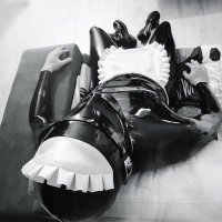 Shiny Fetish (@shinyfetsh) 's Twitter Profile