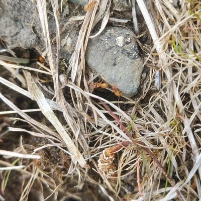 Musashi_sugiyam's profile picture. 