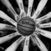 TKA Lady Lions Basketball (@tkaladylionswbb) Twitter profile photo TKA Lady Lions Basketball (@tkaladylionswbb) Twitter profile photo