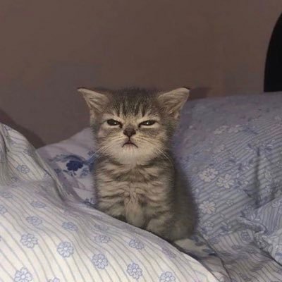 hannah_nasser_'s profile picture. الحمد لله