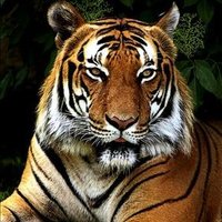 Manyara Duckett ❤️ Memecoin (@duckettmanyara) 's Twitter Profile