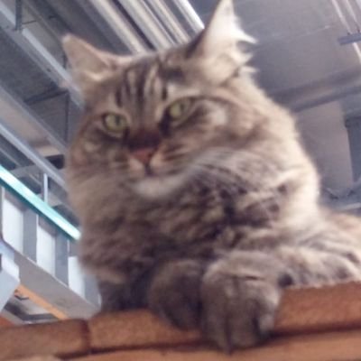 zlem03916486's profile picture. ya olduğun gibi görün  ya göründüğün gibi ol...