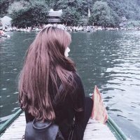 Abeque Forte ❤️ Memecoin (@abequeforte) 's Twitter Profile