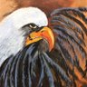 territiffany1's profile picture. Author of THE BEND, Former Bookstore owner and Counselor, Patriot, Free speech, wife of Veteran, America First, #MAGA
