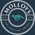 Molloys Liquor Store (@molloysliquor) Twitter profile photo Molloys Liquor Store (@molloysliquor) Twitter profile photo