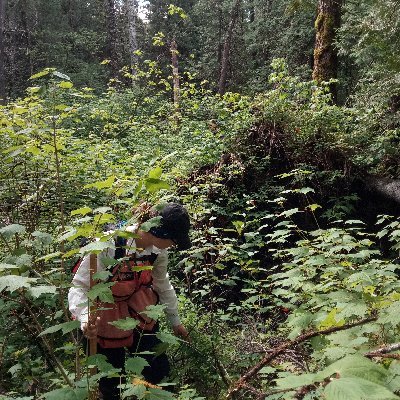 Biologist, Project Manager - Mine Restoration and Bioremediation