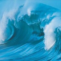 Fiona Blumer ❤️ Memecoin (@blumerfiona) 's Twitter Profile
