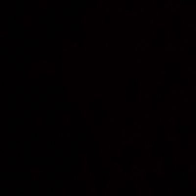 louisapoel79's profile picture. 