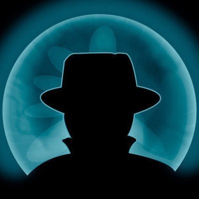Just black hat picks ! 299.90U of profit in 2023! Stats prof for all interested. DM for VIP.