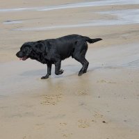 Claire Smith (@clairebbfs) 's Twitter Profile