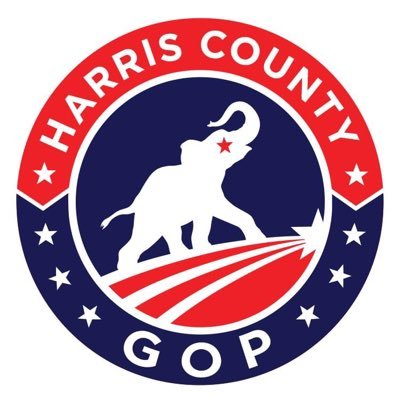 Harris County GOP Profile