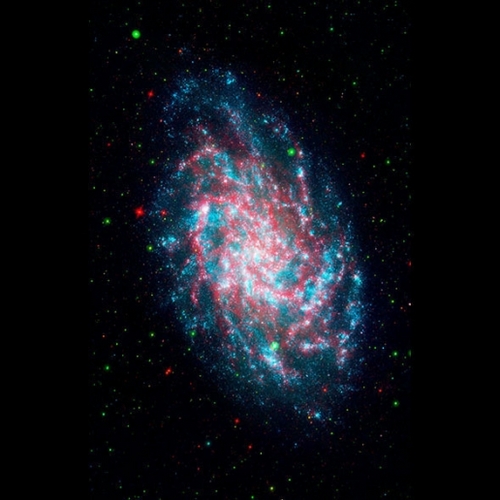 starnstripes's profile picture. Fellow Conservatives, let us be united as we fight for Liberty, Freedom and Principles.   We the people united in restoring America.  If not now....when?