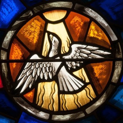 muscat_agius's profile picture. 