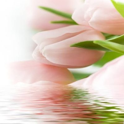 abdl_rania's profile picture. My heart