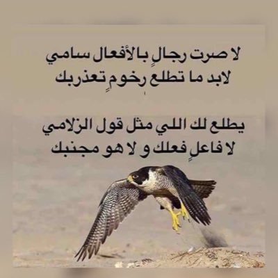 اصبر وياما على الكتمه تصبرنا لو صالي الشوق والغربال حدوني كم واحدٍ من كلام الناس هاجرنا دنياك هذي بها صاحي ومجنوني #شعر #شاعر✏️