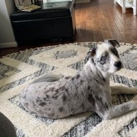 🏥A Nurse that Loves God & Country 🙌🏻🇺🇸 (@stephan67822555) 's Twitter Profile