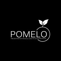 POMELO Trial (@pomelotrial) 's Twitter Profile