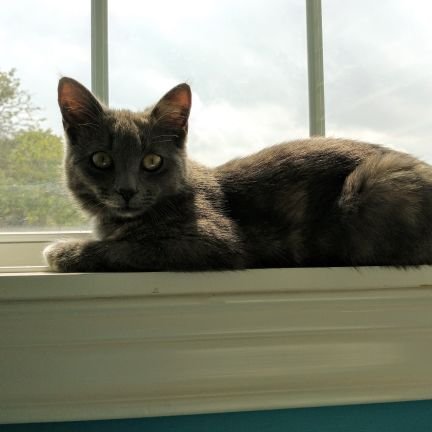 MoriahC61237049's profile picture. 