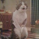 Greg Snook - @gsnook75 - Twitter